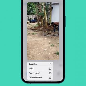 How to Save Reddit GIFs on an iPhone: The Quickest Way (2023)
