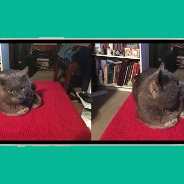 How to Put 2 Pictures Side-by-Side on iPhone