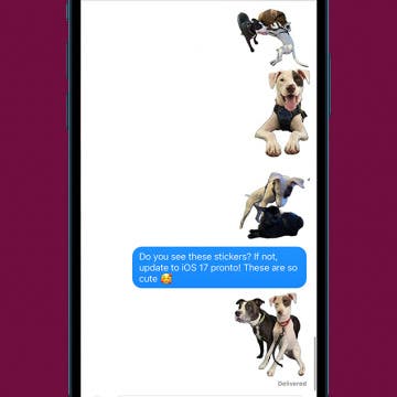 How to Fix Live Stickers Not Working on iPhone (iOS 17)