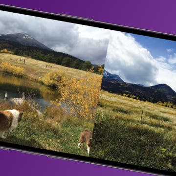ios safari download image How to Put Two Pictures Side-by-Side on iPhone