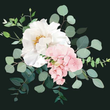 Best Wedding Planner apps