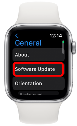 apple watch software update to fix apple watch screen glitching