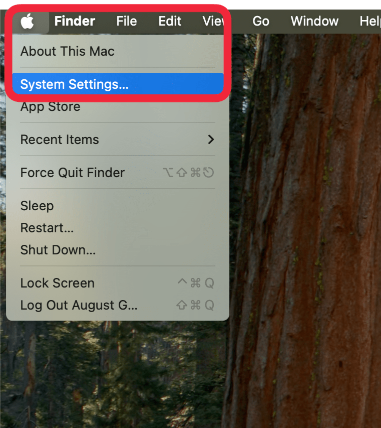 click apple menu then system settings