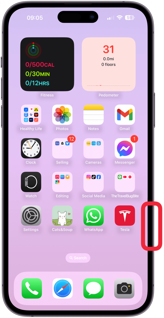 While holding your iPhone vertically, not horizontally, press and hold the Camera button until the Visual Intelligence view shows up.