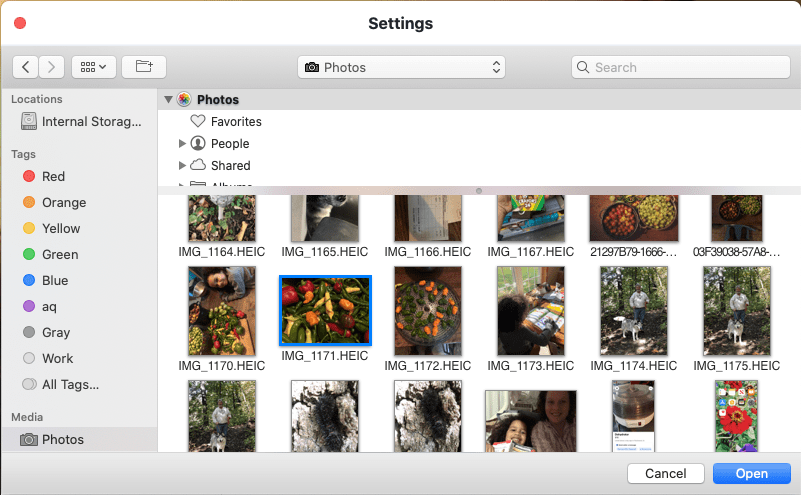 choose image or video