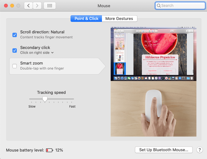 magic mouse settings