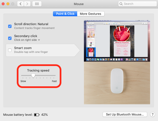 drag the slider to slow mouse cursor speed