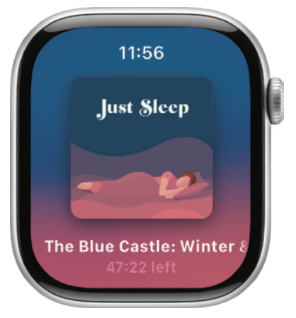 Podcast Sleep Timer
