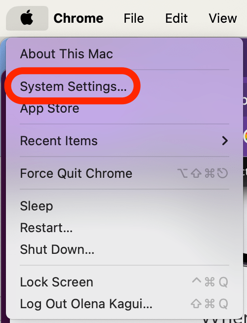 Click on the Apple logo on the top left of your Menu bar and select System Settings.