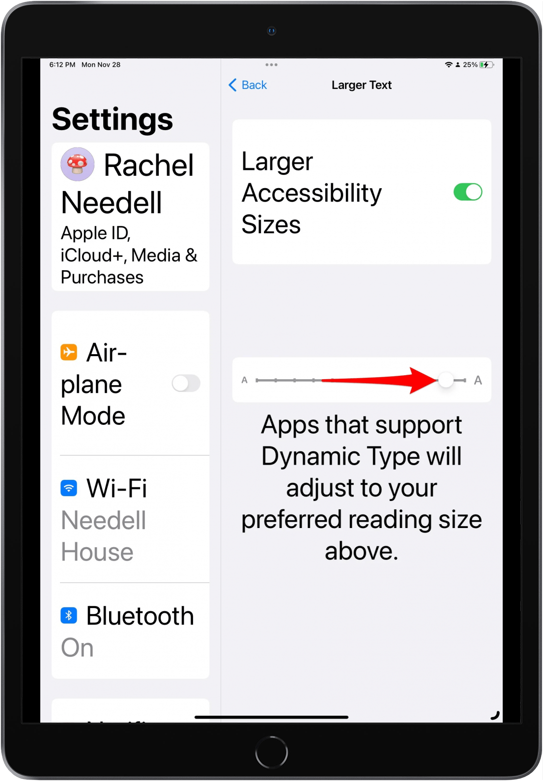Accessibility sizes on iPad