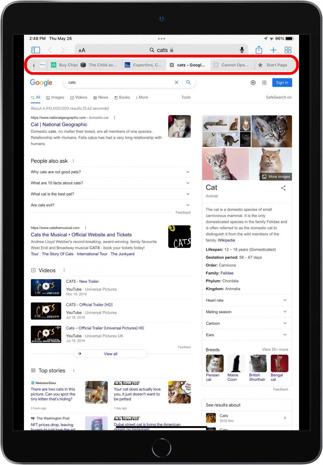 Solved My Top Tabs Keep Disappearing in Safari (2023)