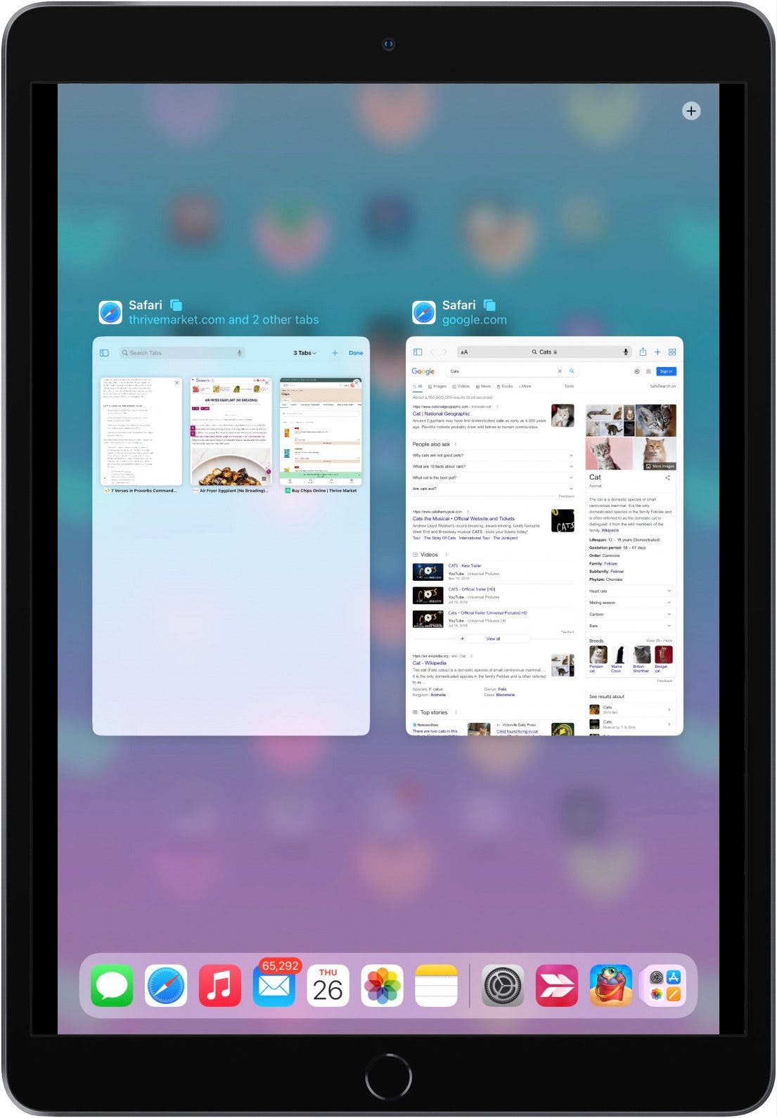 Solved My Top Tabs Keep Disappearing in Safari (2023)