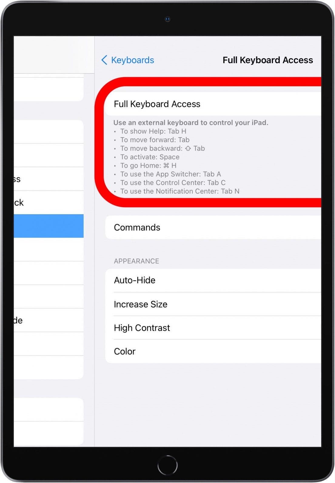 Toggle on Full Keyboard Access.