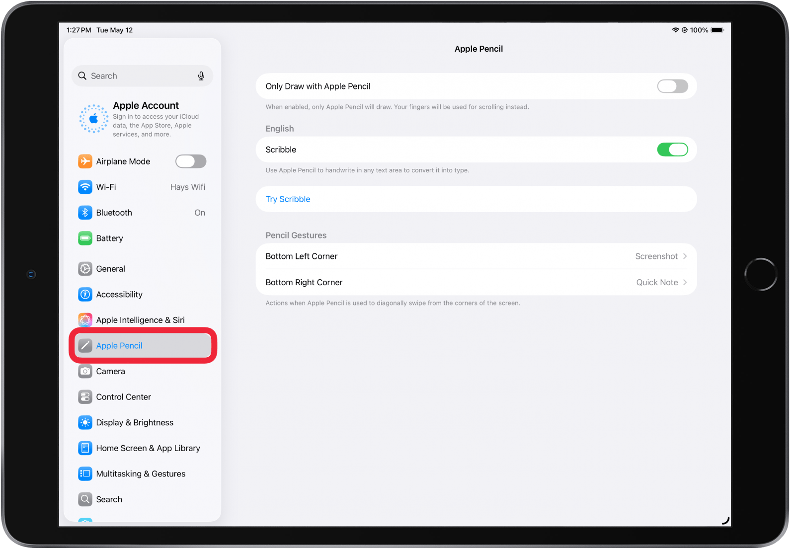 tap apple pencil in ipad settings
