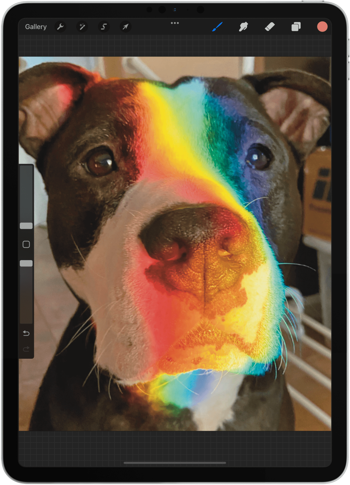 Open a new project with an image that has a color you wish to practice copying.