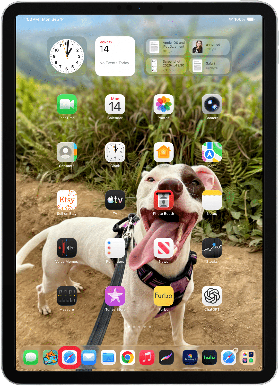 Open Safari.