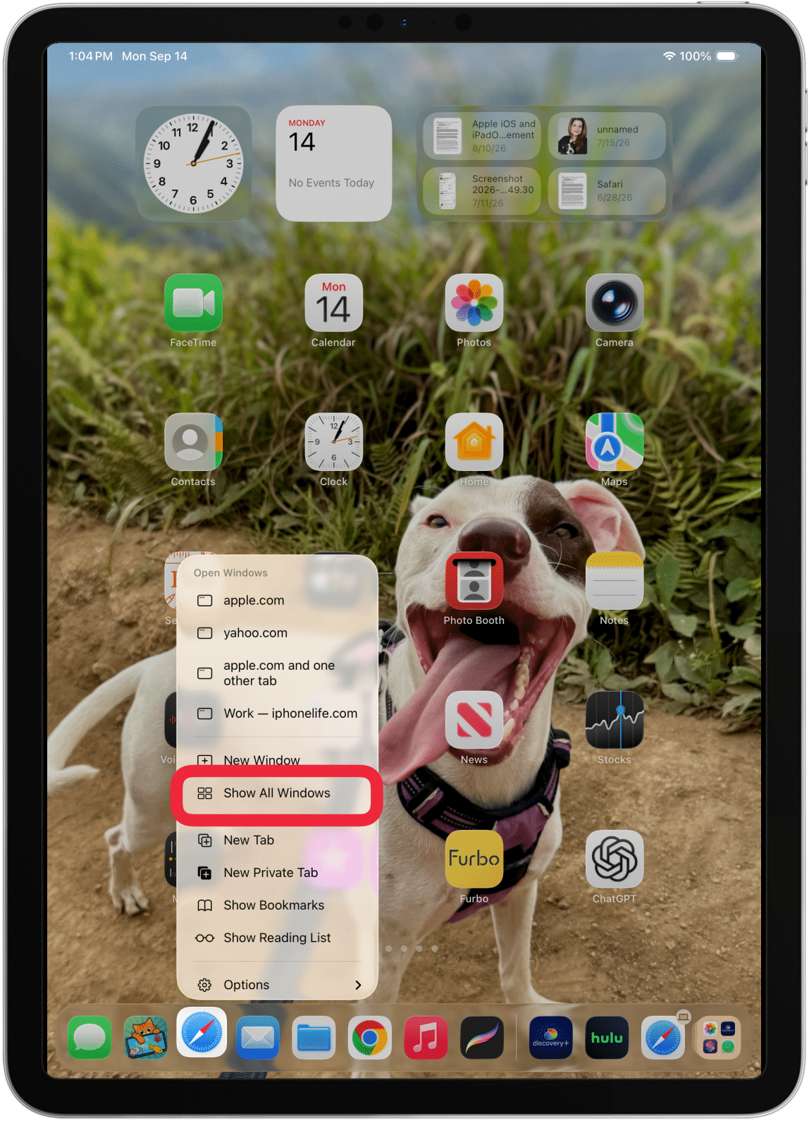 Select Show All Windows. You may have to scroll down to see this option.