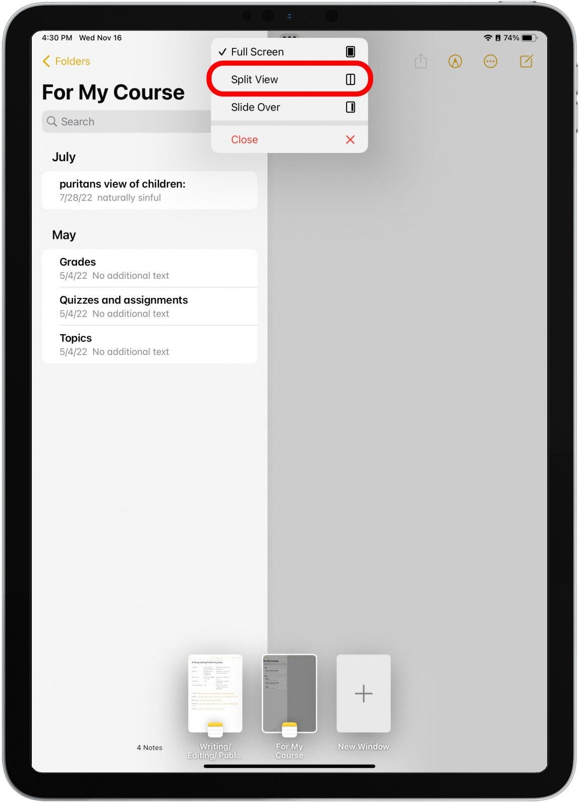 Tap Split View.