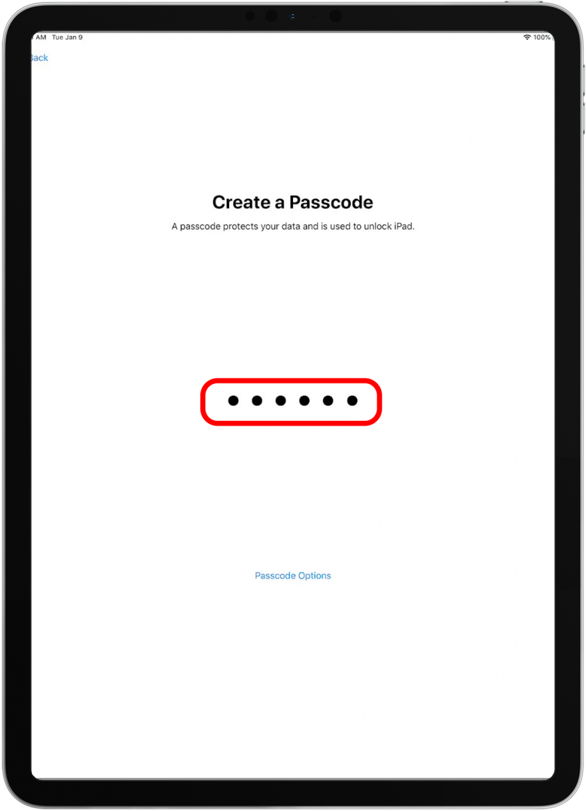 Depending on which iPad you have, you'll be asked to set up Touch ID or Face ID, and to create a six-digit password.