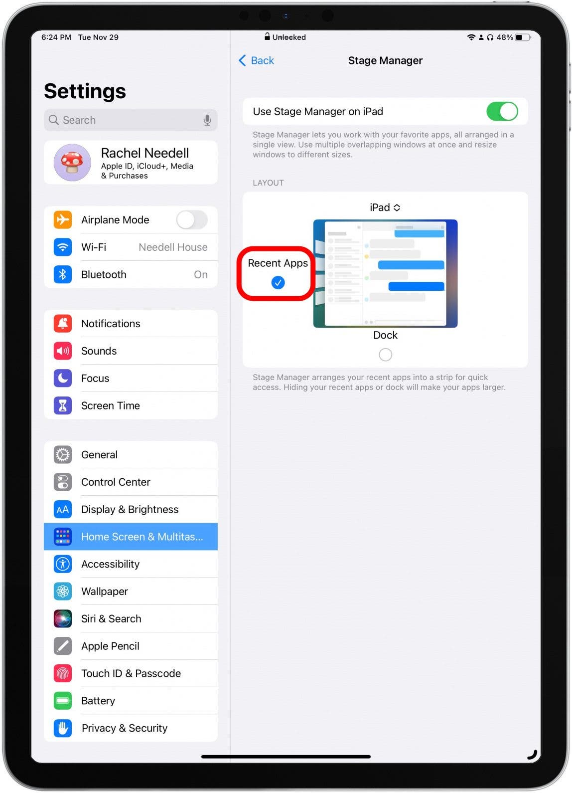 Check or uncheck the circle on the left to show or hide the Recent Apps side bar. When checked, it will be displayed while you work in Stage Manager.