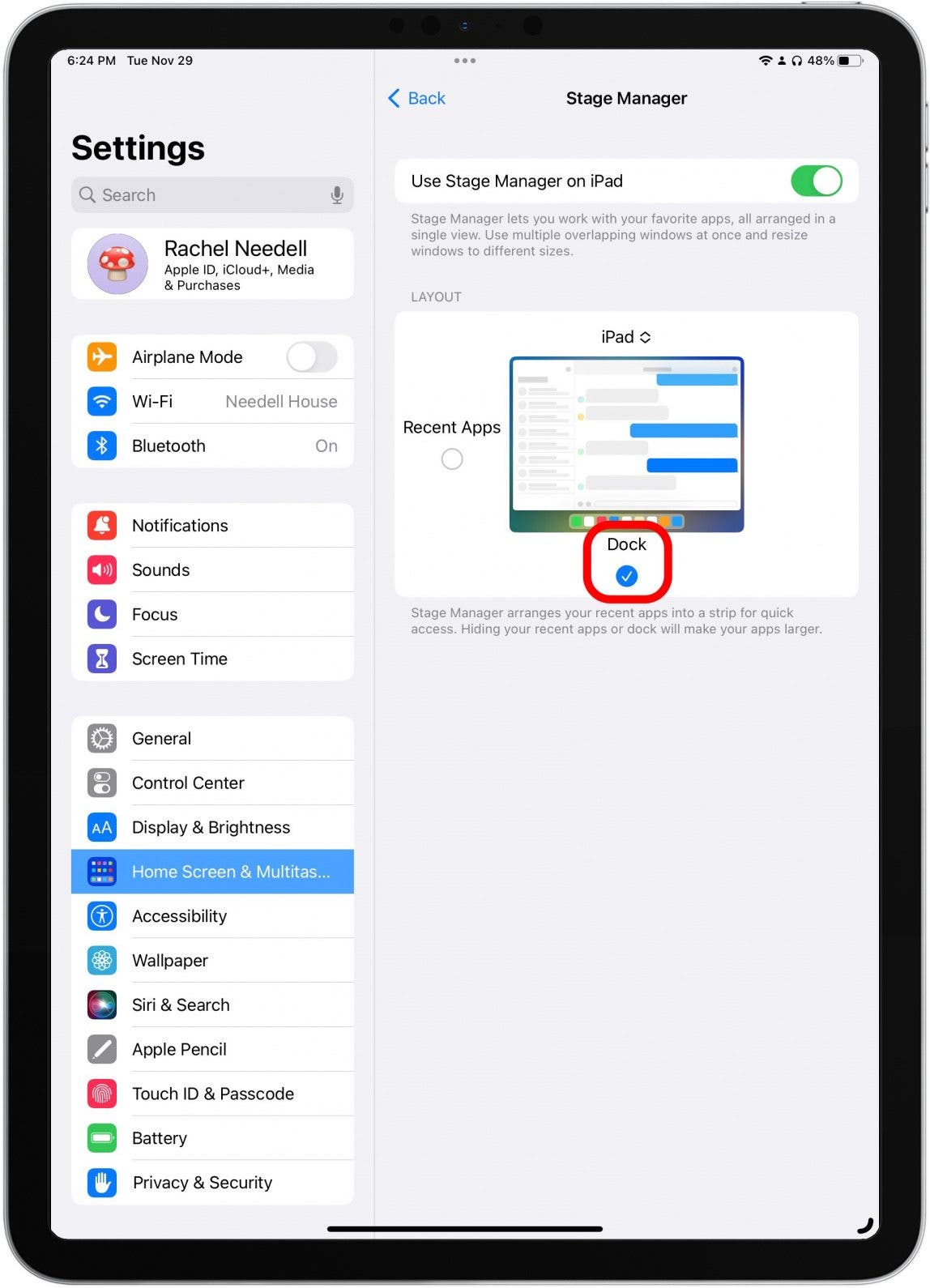 Check or uncheck the circle on the bottom to show or hide the Dock. When checked, it will be displayed while you work in Stage Manager.