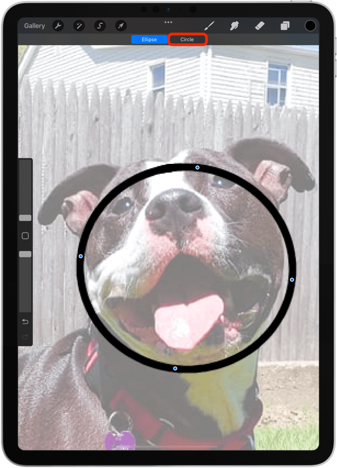 I'll tap Circle because my goal is a simple cartoon drawing of Smiley.