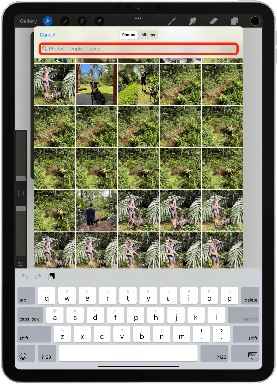 You can use the search bar to search for photos in the Photos app