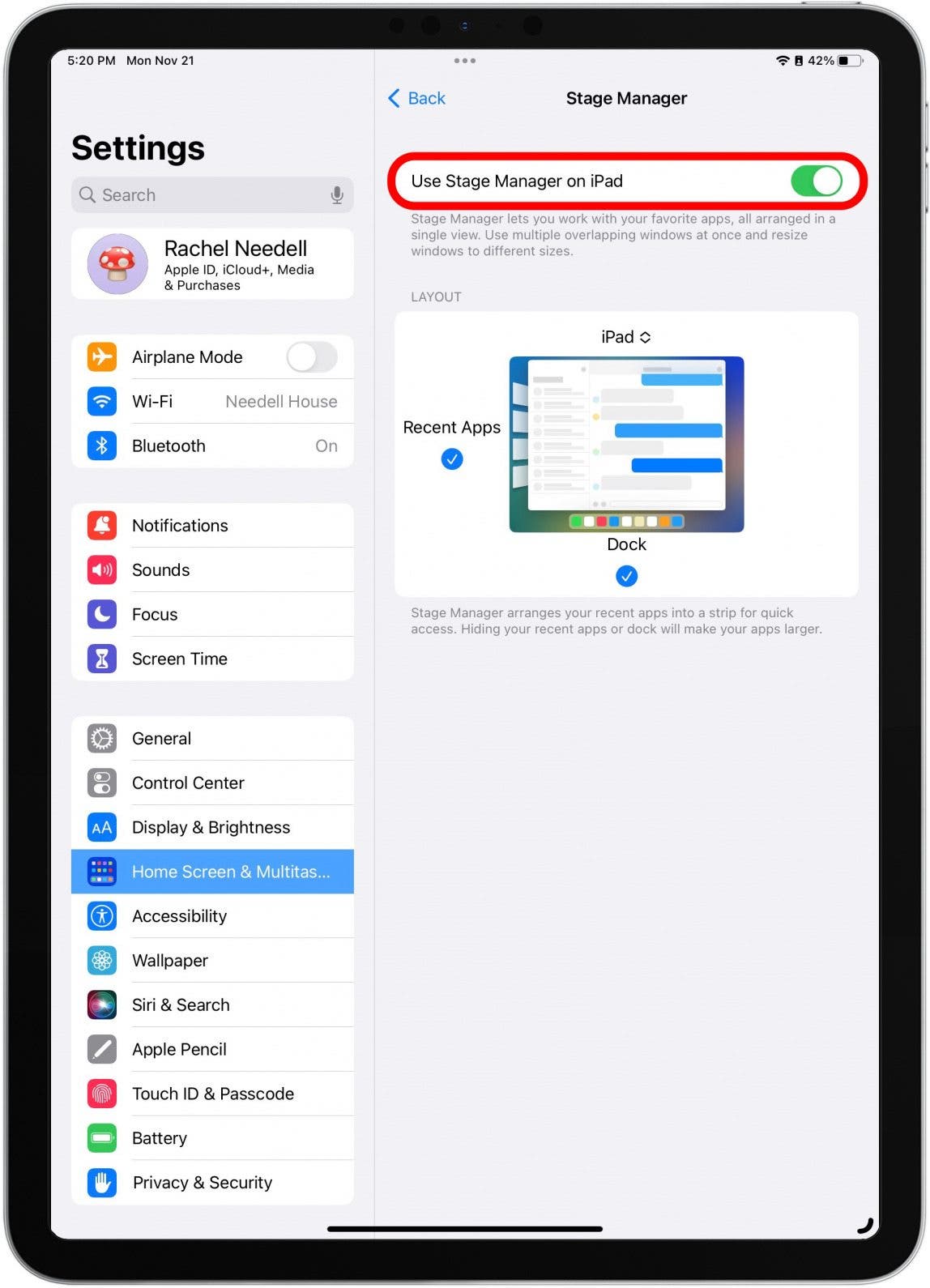 Toggle Stage Manager on. The toggle will be green when the feature is enabled.