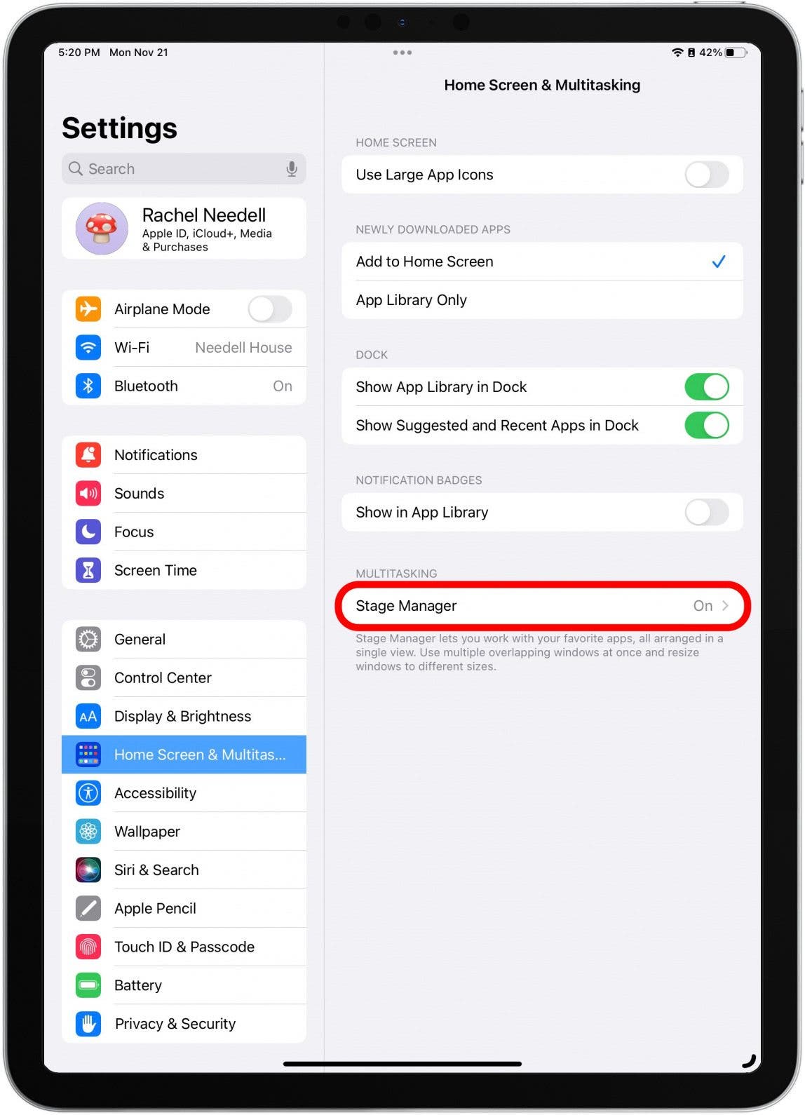 How to Turn On Stage Manager on iPad
