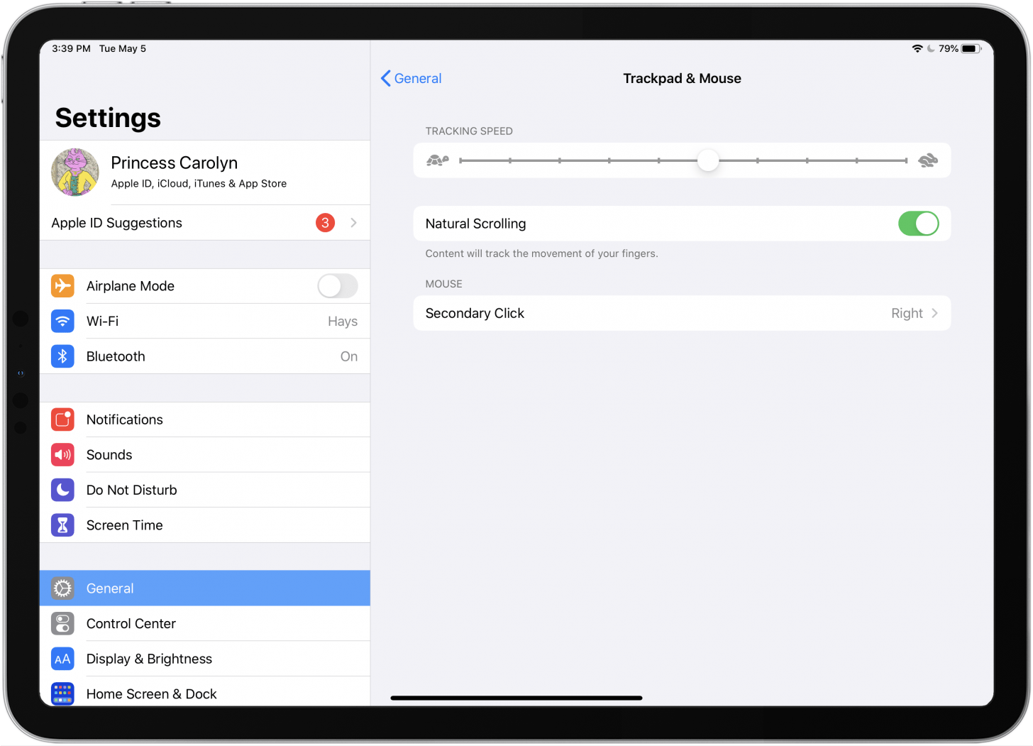 change bluetooth mouse settings 