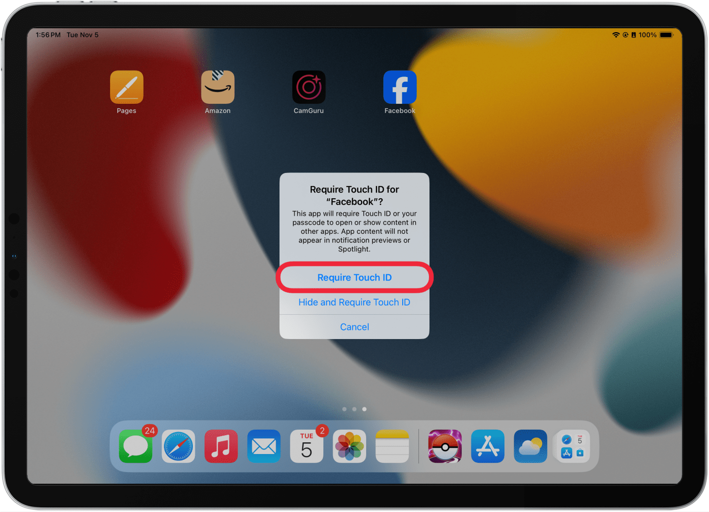ipad home screen with a pop up in the middle of the screen, asking the user to confirm they want to lock the app with touch id, and a red box around require touch id