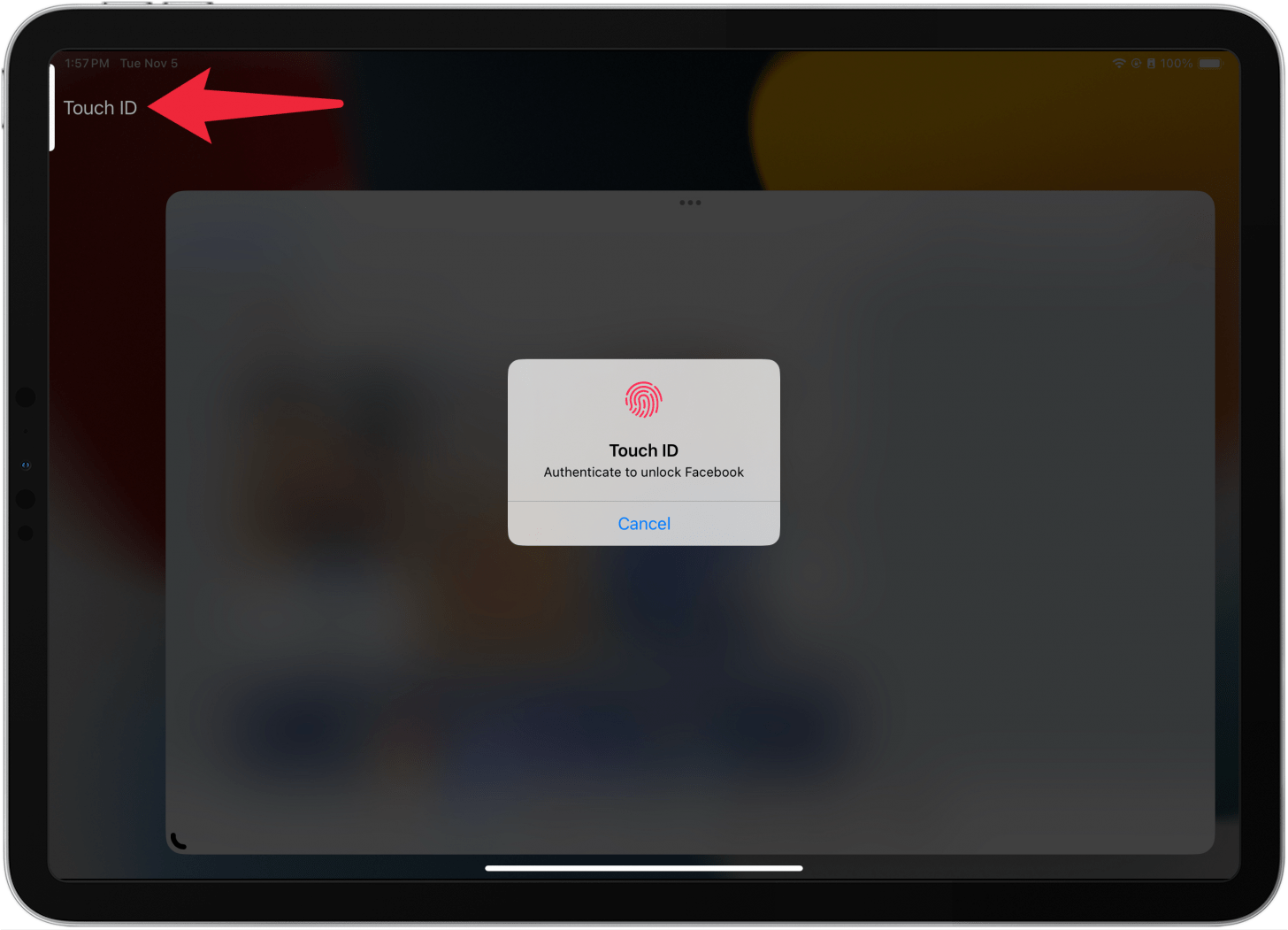 ipad displaying an app with a full screen blur and a pop up prompting the user to unlock the app with touch id