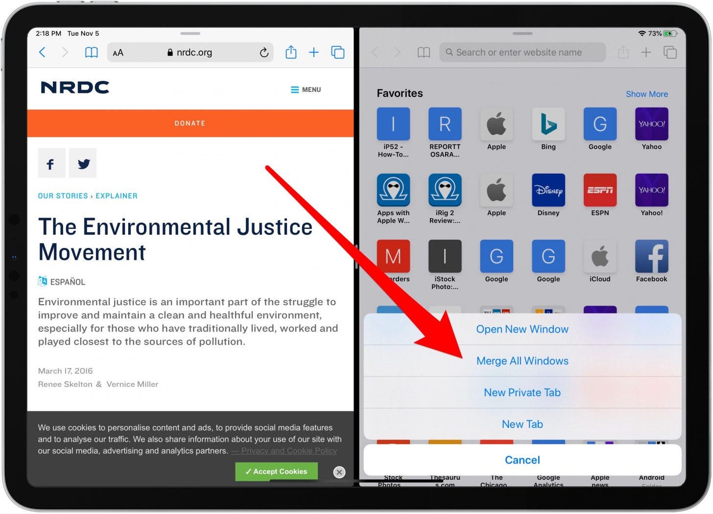 get rid of split screen on your ipad