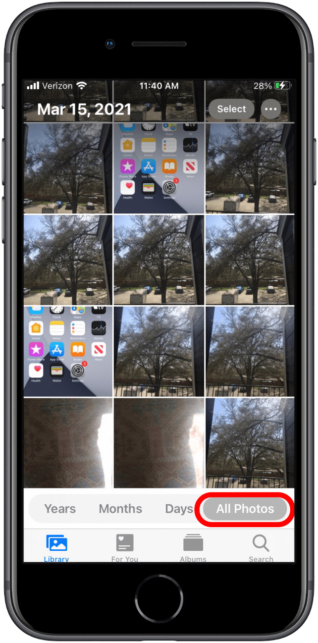 All photos
