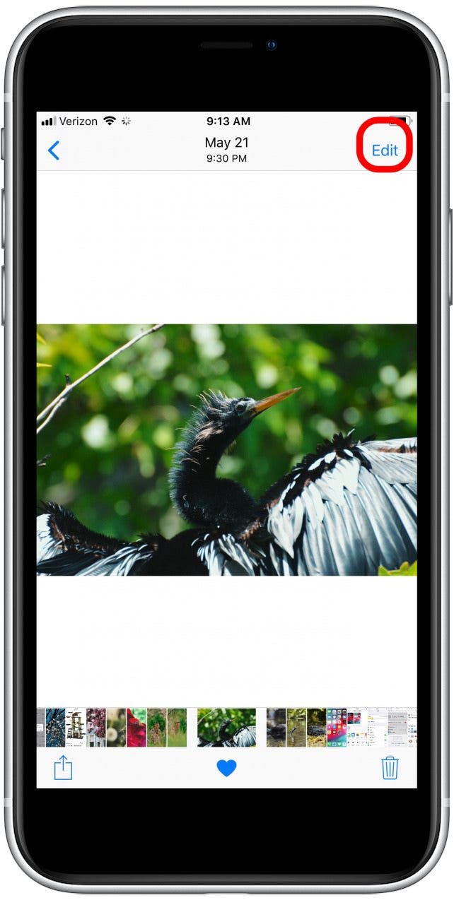 photos app with the edit button highlighted