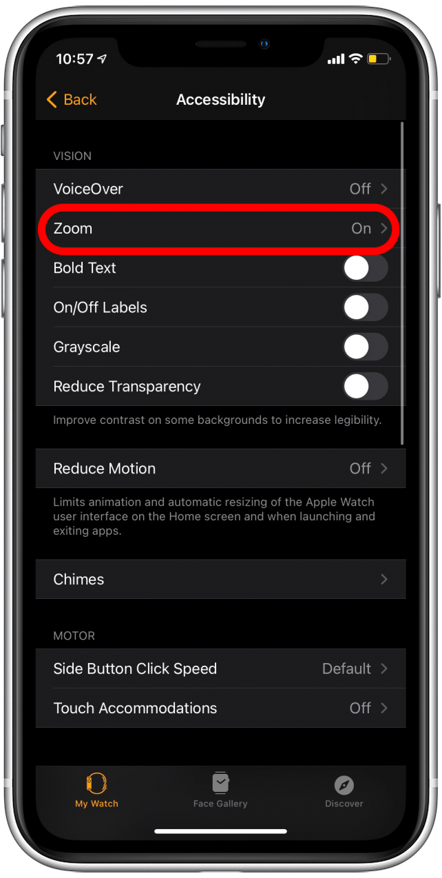 apple watch zoom
