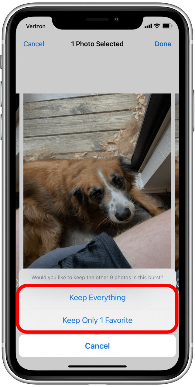 How to Take Burst Photos on iPhone | www.iphonelife.com