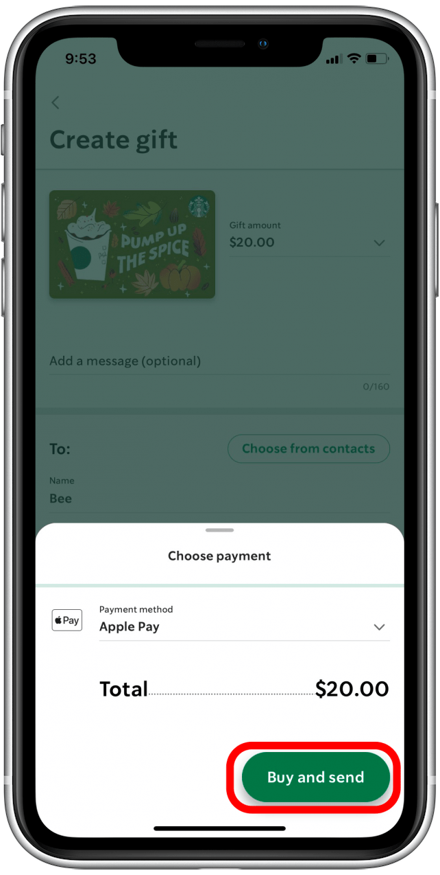 Use Apple Pay on iPhone for InStore & Online Payments