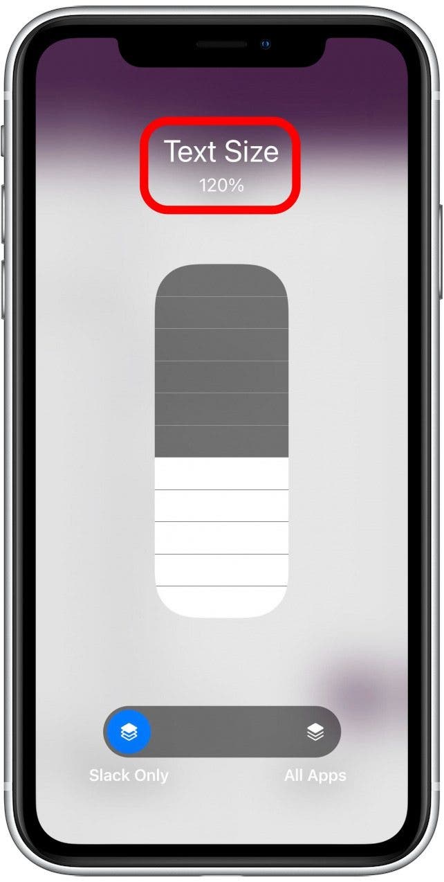 make text bigger on iPhone just one app