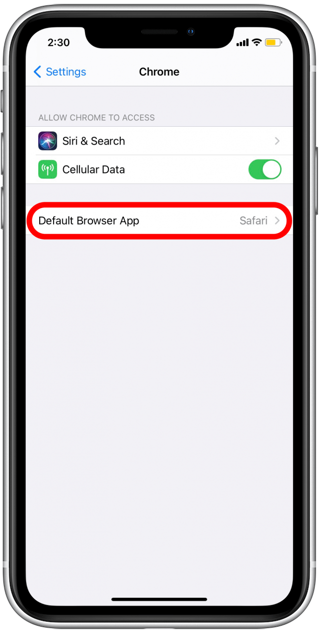 How to Change the Default Web Browser on Your iPhone in iOS 14