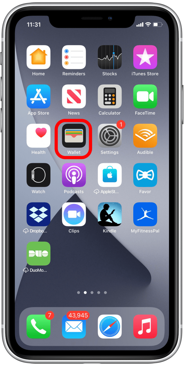 How to Add a Driver's License to Apple Wallet (2024)