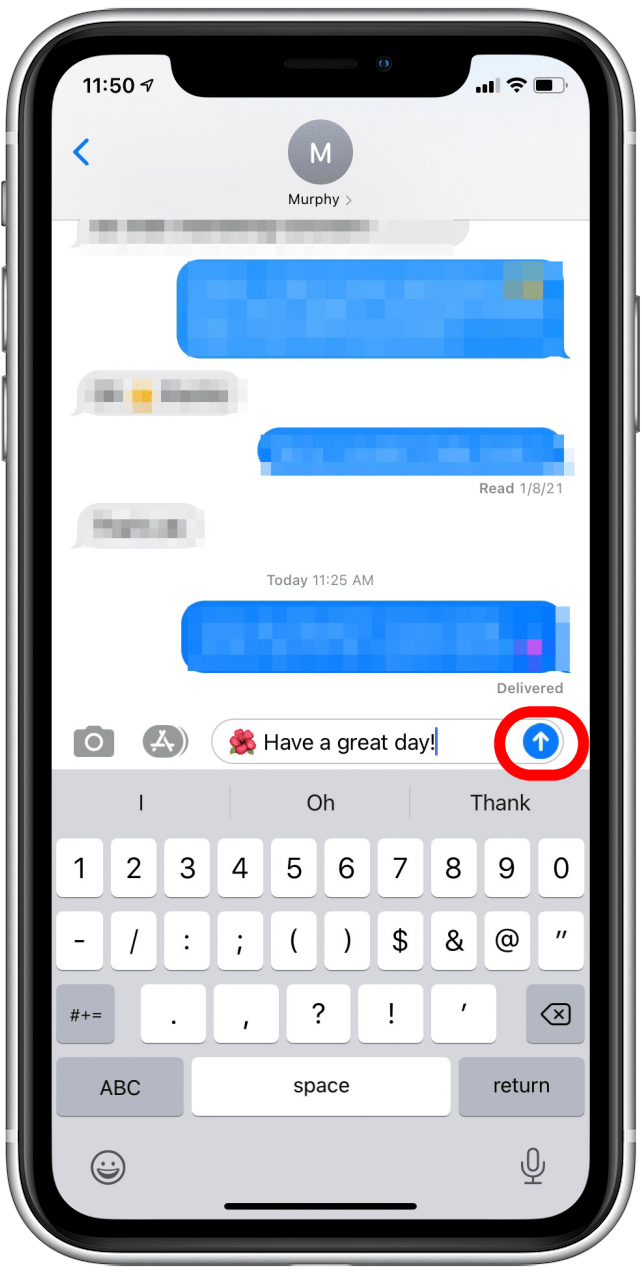 Complete your text message and tap the send button when you're ready