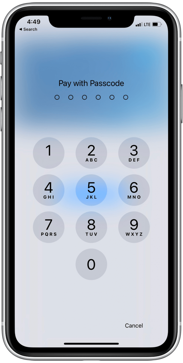 Use Apple Pay on iPhone for InStore & Online Payments