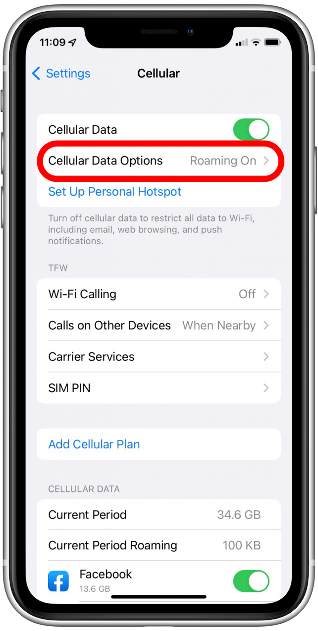 How can I use my iPhone overseas without roaming?