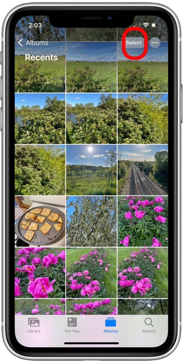 How To Print Photos From Iphone