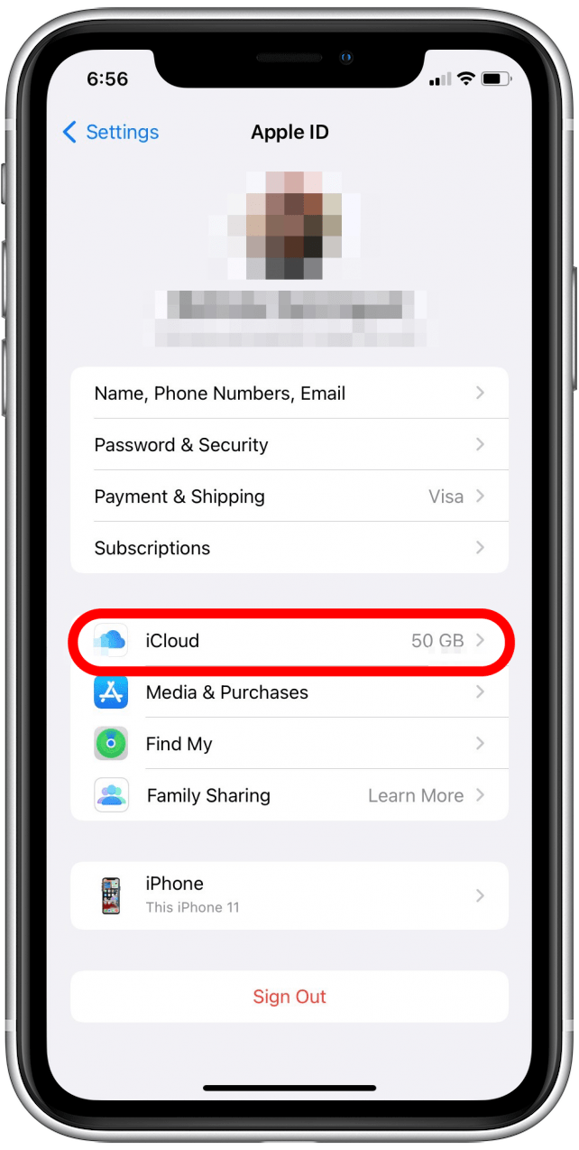 iCloud selection in Apple ID area