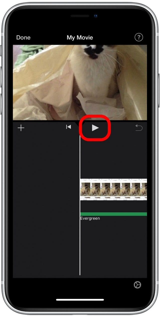 How to Add Music to a Video on iPhone (2 Free Ways)