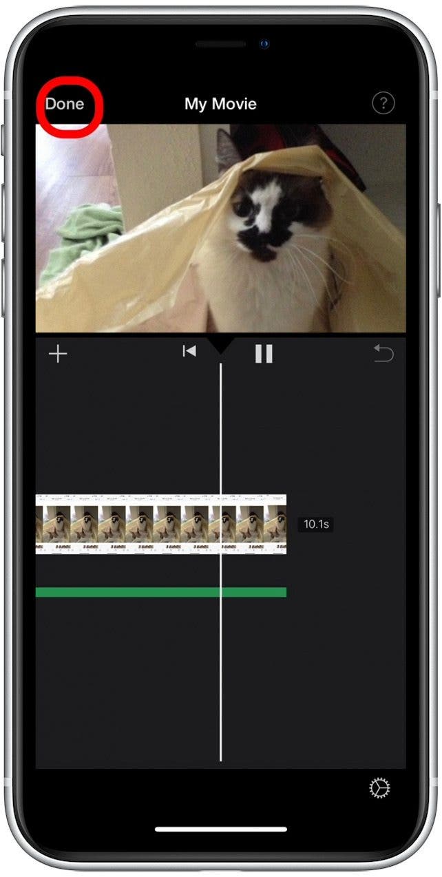 How to Add Music to a Video on iPhone (2 Free Ways)