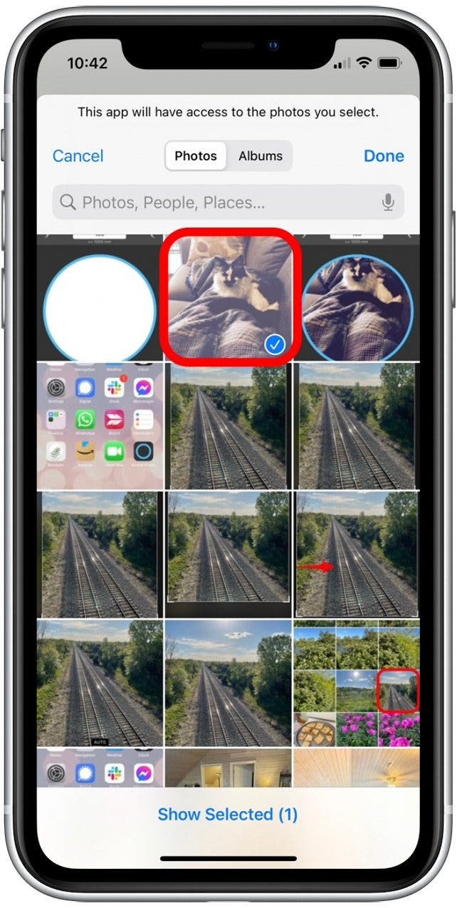 How to Crop a Picture on iPhone & iPad