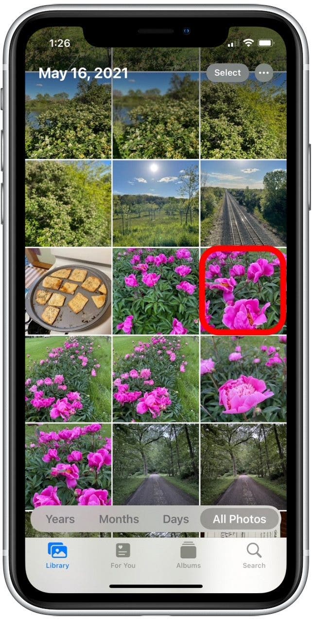Edit Pictures on iPhone How to Compare Edited Photos to Originals